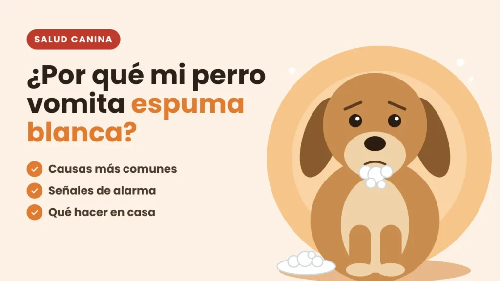 ¿Por qué mi perro vomita espuma blanca?
